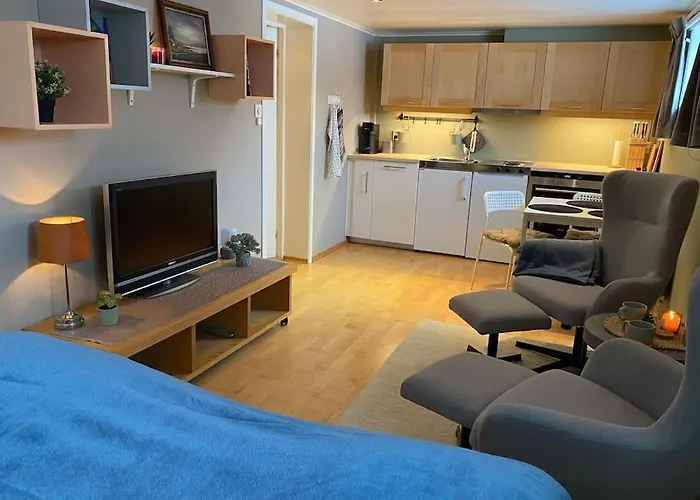 Lägenhet Sentralt Til Og Torp Flyplass